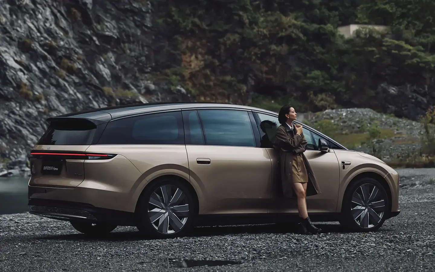 Корма Li Auto i9